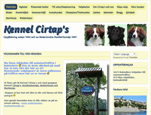 Tablet Screenshot of cirtaps.com